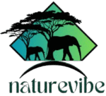 NatureVibe.xyz – Health, Fitness, Sustainability, and Eco-Friendly Living